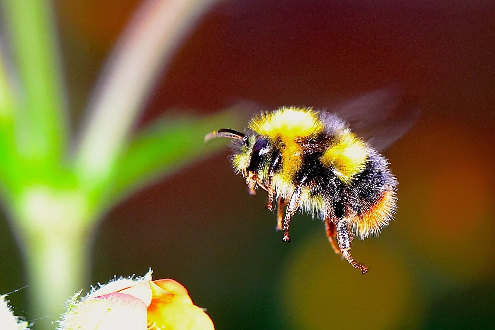 Bumble First Messages: 8 Tips to Stand Out and Start Strong