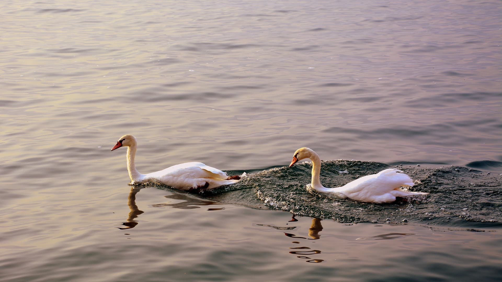 What to Say After Matching: 7 Follow-Up Lines to Keep the Chat Alive